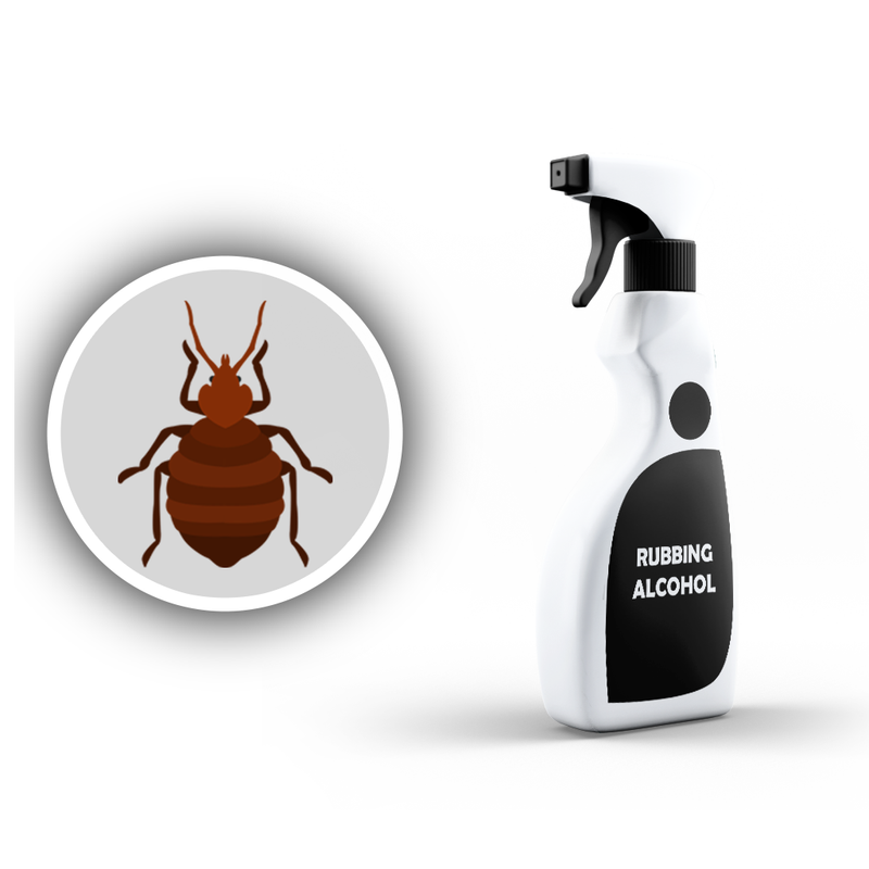 http://bedbugsos.ca/cdn/shop/articles/13._Bed_Bugs_and_Alcohol_-_Can_Alcohol_Help_in_Getting_Rid_of_Bed_Bugs_800x.png?v=1551662269
