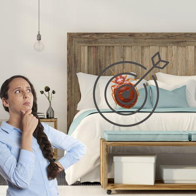 What Kills Bed Bugs and Their Eggs