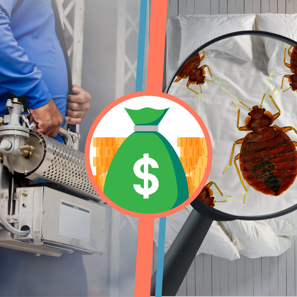 Stunning Chemical Free Treatment For Bed Bugs image