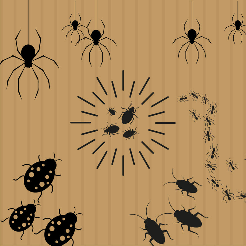 Bed Bug (Spidersona)