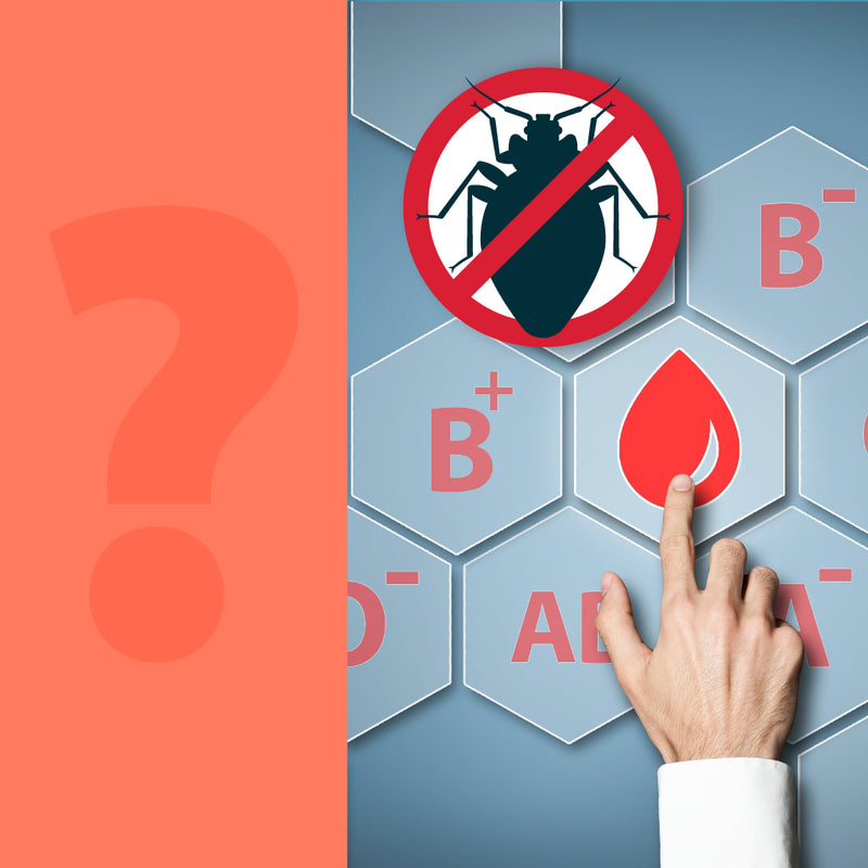Are Bed Bugs Attracted to Certain Blood Types? Bed Bug SOS