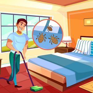 Bed bugs Montreal – So you just moved into your new apartment
