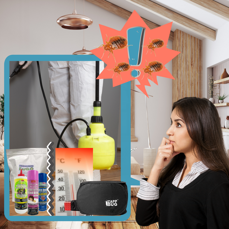 Best Professional Bed Bug Treatment Bed Bug SOS