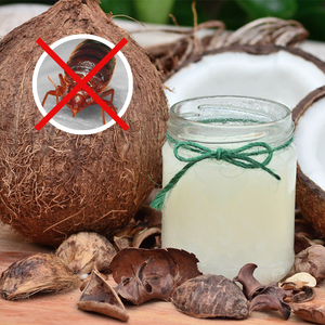 Does Coconut Oil Keep Bed Bugs Away?