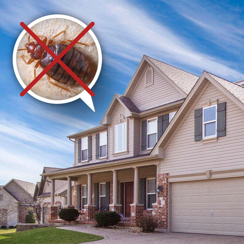 How to Keep Bed Bugs Out of Your Home Bed Bug SOS