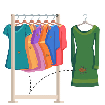 How to Prevent Re-Infestation of Bed Bugs on your Clothes