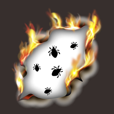 How to Take Advantage of Heat to Kill Bed Bugs