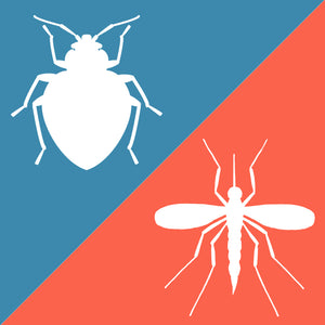 The Difference between Mosquito and Bed Bug Bites