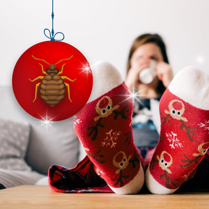 Hosting a Holiday Party? Have You Thought About Bed Bugs?