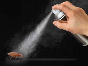 Bed bug Sprays