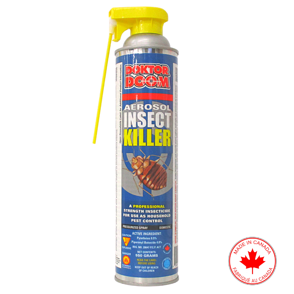 Professional Aerosol Insect Killer - 550g