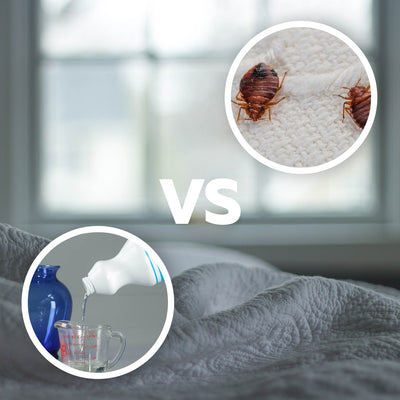 Does Bleach Kill Bed Bugs?