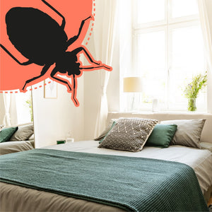 Will Bed Bugs Stay In One Room