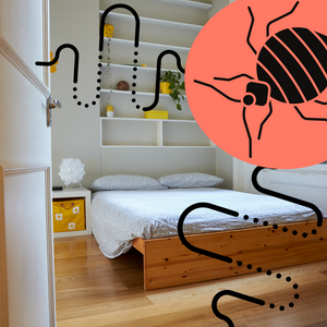 How to Prevent Bed Bugs from Spreading to Other Rooms