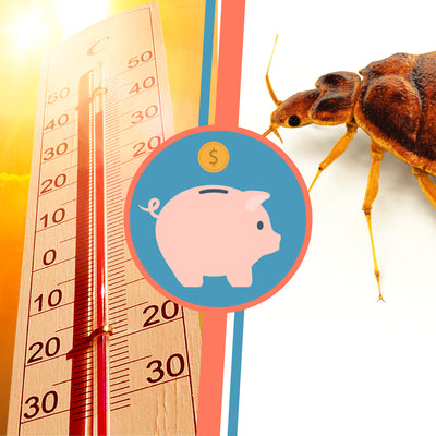 The Cost of a Bed Bug Heat Treatment