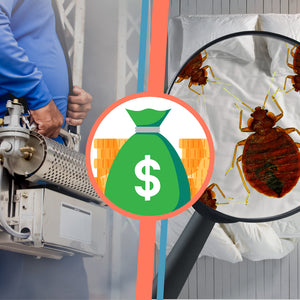 The Cost of Chemical Treatment for Bed Bugs