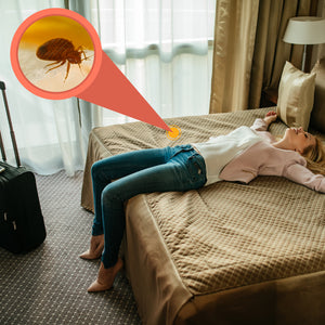 How to Identify Bed Bugs in a Hotel