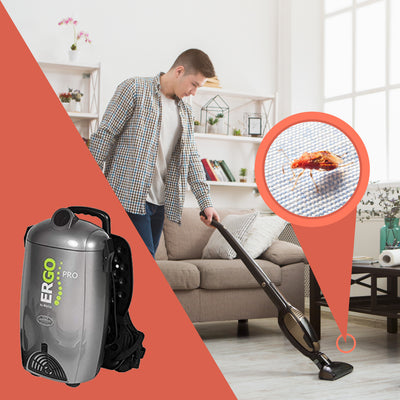 Will Vacuuming Kill Bed Bugs?