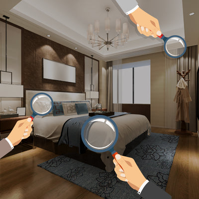 What to Do If You Find Bedbugs in Hotel