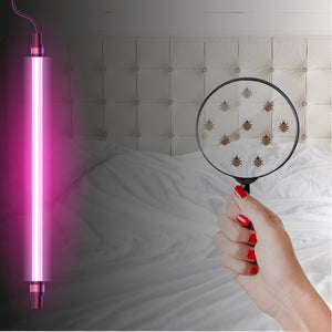 How to Find Bed Bugs with Black Light