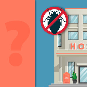 Do Hotels Have to Report Bed Bugs?