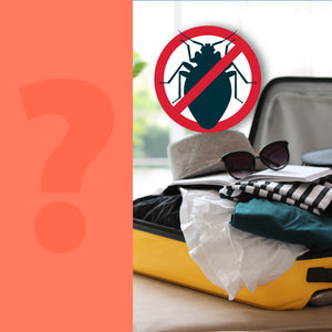 How to Protect Your Luggage from Bed Bugs