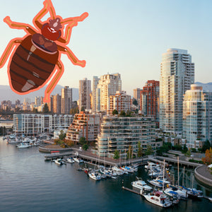Bed Bug Vancouver: 3rd City with Worst Bed Bug Problems