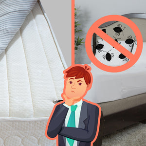 Do Mattress Covers Stop Bed Bugs?