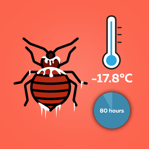 What Temperature do Bed Bugs Freeze at?