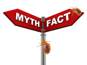 7 Bed Bug Myths You Must Know