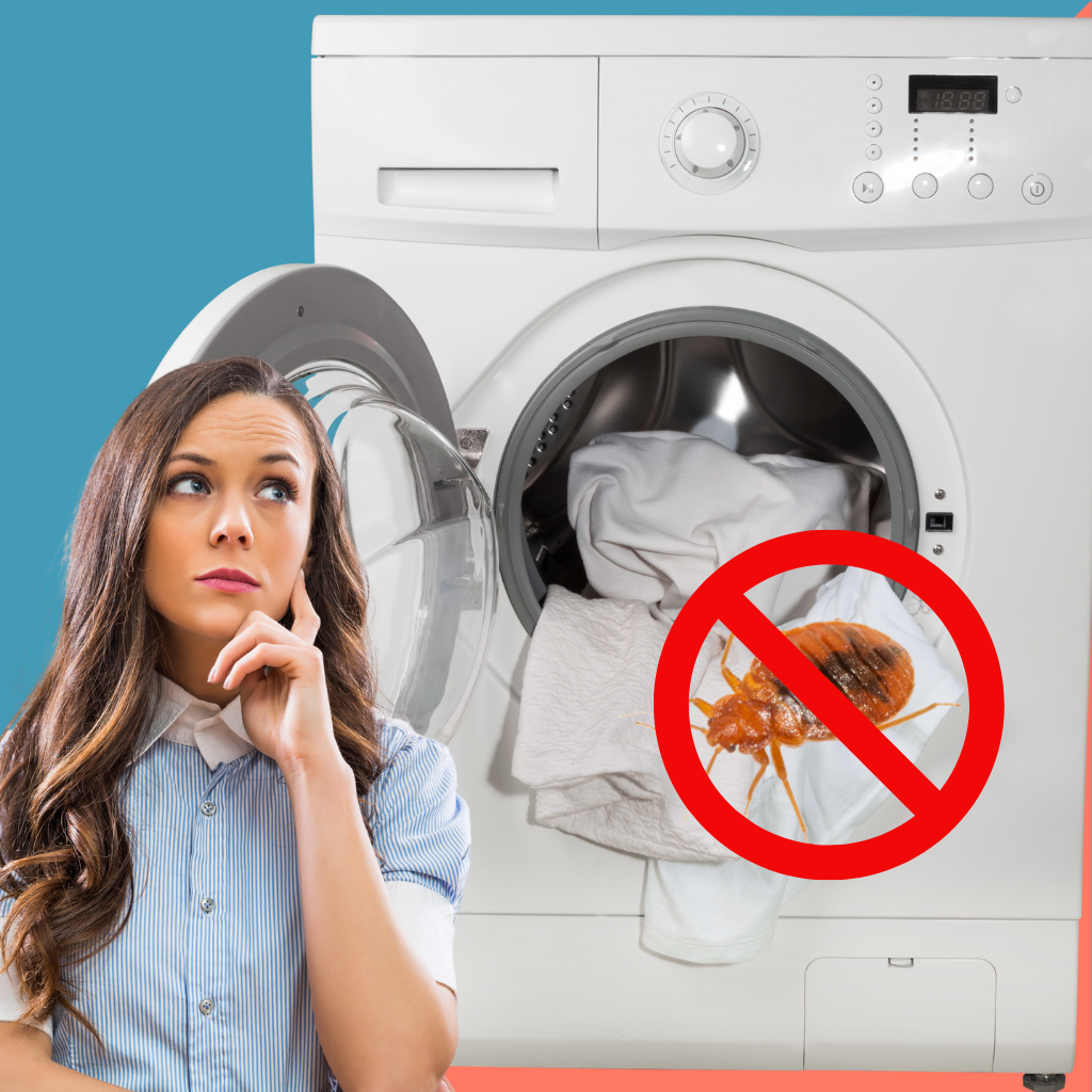 Do Bed Bugs Get Killed in the Washing Machine? Bed Bug SOS