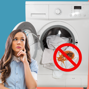 How to Wash and Care for Laundry Infested With Bed Bugs