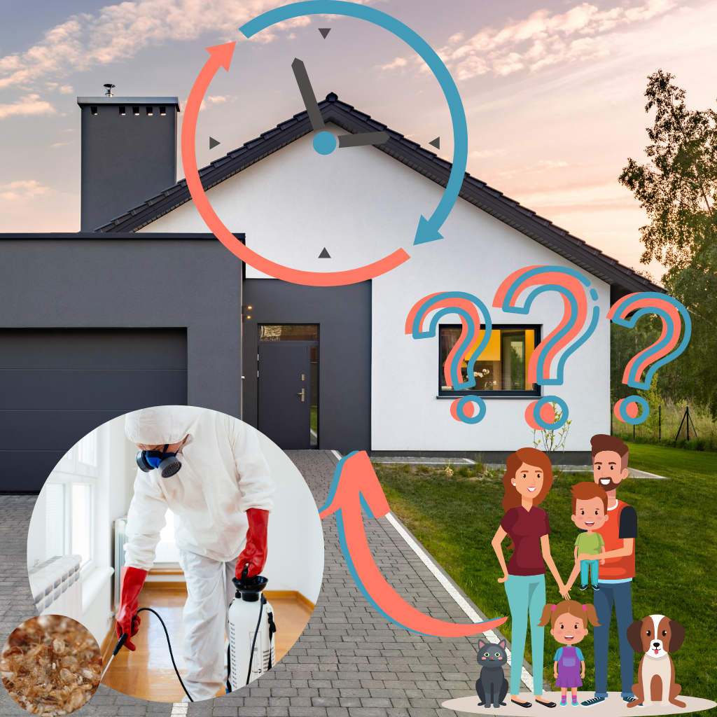 How Long After Spraying for Bed Bugs Is It Safe Bed Bug SOS