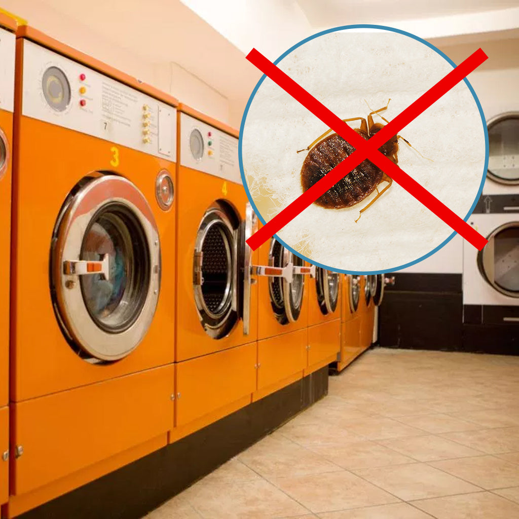 How to Prevent Bed Bugs When Using the Laundromat Bed Bug SOS