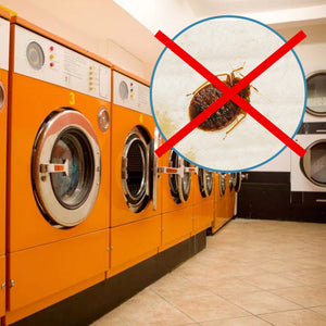 How to Prevent Bed Bugs When Using the Laundromat