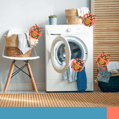 How to Wash Clothes Exposed to Bedbugs