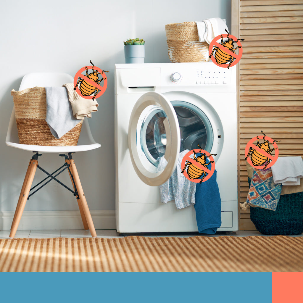 How to Wash Clothes Exposed to Bedbugs Bed Bug SOS
