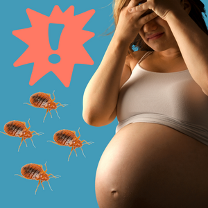 Can Bed Bugs Cause Miscarriage