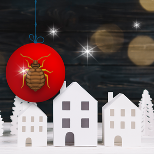 Did Your Guests Leave Behind Bed Bugs after the Holidays?