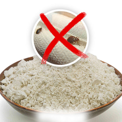 How Does Diatomaceous Earth Kill Bed Bugs