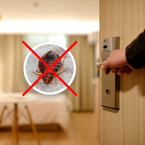 Tips on Preventing Getting Bed Bugs from Visitors and Avoiding an Infestation