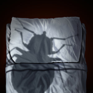 The State of Bed Bugs in Toronto